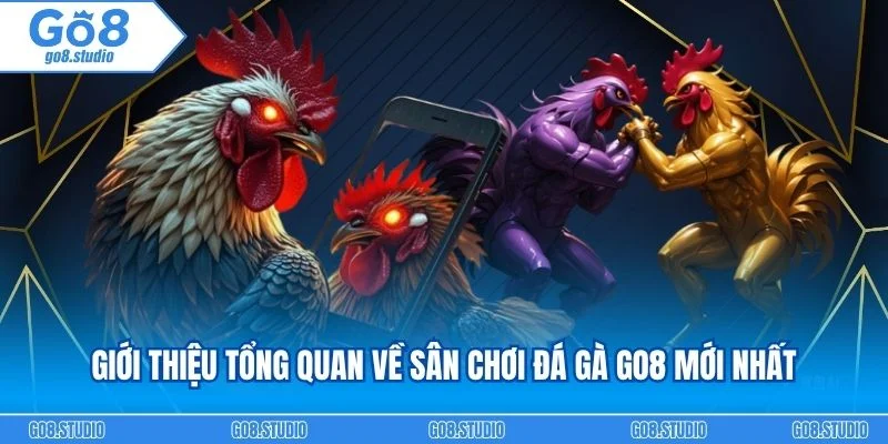 Giới thiệu tổng quan về sân chơi đá gà go8 mới nhất