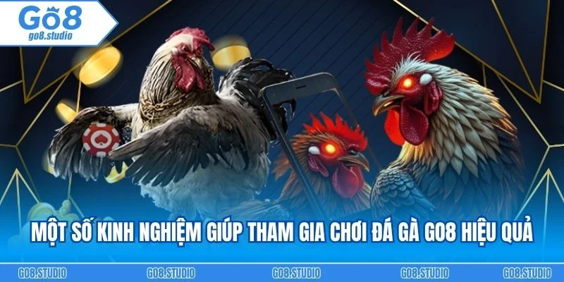 Một số kinh nghiệm giúp tham gia chơi đá gà go8 hiệu quả